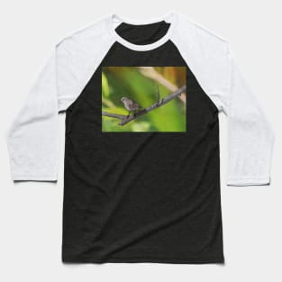 Redstart resting on a branch Baseball T-Shirt